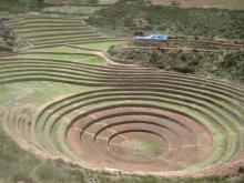 Moray